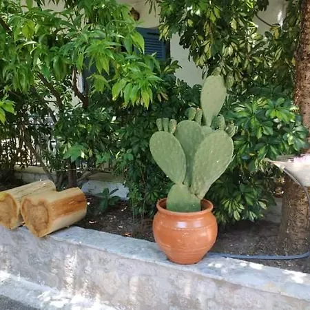 Lefkada Margarita *
